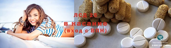 шишки Баксан