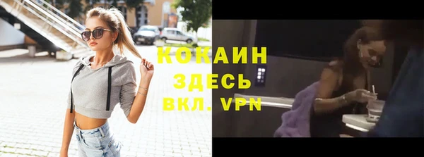шишки Баксан