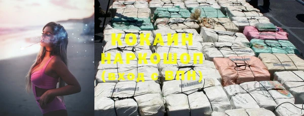 шишки Баксан
