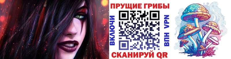 где продают наркотики Жигулёвск Галлюциногенные грибы Psilocybine cubensis